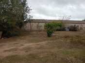 Объявление №6007695 - Баку, пос. Вишнёвка, 7.6 сот