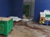 Elan №6008170 - Bakı, Binəqədi q., 1000 m²