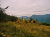 Elan №6008319 - Quba, Quba, 50 sot