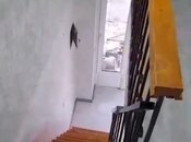 Satılır  obyekt 30 m², Yasamal r., photo 3 from 4