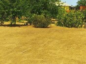 Satılır 2 otaqlı həyət evi/bağ evi 110 m², Novxanı q., photo 2 from 8