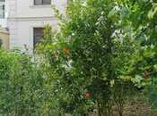 İcarəyə verilir 5 otaqlı həyət evi/bağ evi 300 m², Mərdəkan q., photo 4 from 8