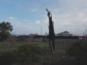 Продаётся 4-комн. дом/дача 130 м², пос. Бузовна, photo 3 from 8