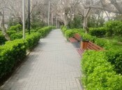 Satılır 2 otaqlı köhnə tikili 50 m², Həzi Aslanov m., photo 6 from 8