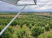 Satılır  torpaq 2 000 sot, photo 2 from 8