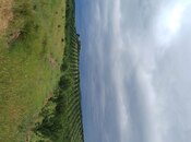 Satılır  torpaq 2 000 sot, photo 7 from 8