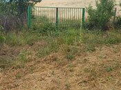 Satılır  torpaq 2 000 sot, photo 8 from 8