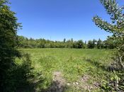 Объявление №6009464 - Гусар, Гусар, 15 сот