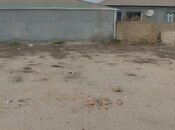 Elan №6009843 - Bakı, Binə q., 0.2 sot