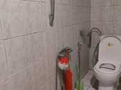 İcarəyə verilir 2 otaqlı həyət evi/bağ evi 50 m², Nərimanov r., photo 6 from 6