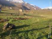 Продаётся  участок 8 сот, photo 3 from 6