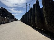 Продаётся  участок 8 сот, пос. Шувеляны, photo 3 from 4