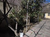 6 otaqlı həyət evi/bağ evi - Bakıxanov q. - 324 m²