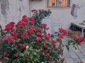 Elan №6010477 - Bakı, Mehdiabad q., 3 otaqlı, 100 m²