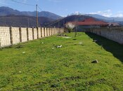 Elan №6010735 - Qəbələ, Qəbələ, 8 sot