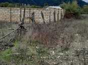 Elan №6010800 - Qəbələ, Qəbələ, 10 sot