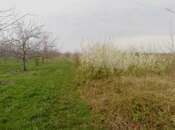 Elan №6010618 - Quba, Quba, 16 sot