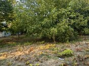 Elan №6011153 - Qəbələ, Qəbələ, 13 sot