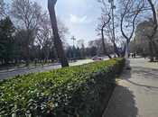 Объявление №6011230 - Баку, Насиминский  р., 73 м²