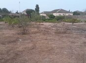 Satılır  torpaq 6 sot, Qala q., photo 2 from 3