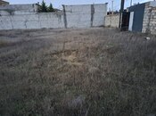 Участок - пос. Нардаран - 10 сот