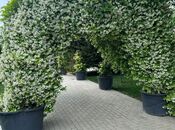 Сдаётся 6-комн. дом/дача 500 м², пос. Бильгях, photo 4 from 8