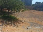 Elan №6011946 - Bərdə, Bərdə, 6 sot