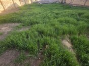 Объявление №6012087 - Баку, пос. Бадамдар, 6.5 сот