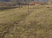 Объявление №6012113 - Исмаиллы, Исмаиллы, 12 сот