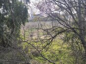 Продаётся  участок 25 сот, пос. Новханы, photo 8 from 8