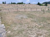 Elan №6012334 - Şamaxı, Şamaxı, 6 sot