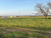 Elan №6012332 - Bakı, Zığ q., 995 sot