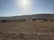 Продаётся  участок 8 сот, пос. Кобу, photo 3 from 4