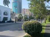 Elan №6012768 - Bakı, Gənclik m., 5 otaqlı, 280 m², 10/11 mərtəbə