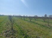 Elan №6012645 - Xudat, Xudat, 94 sot