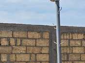 Satılır  torpaq 23 sot, Novxanı q., photo 6 from 8