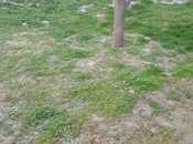 Продаётся  участок 4 сот, пос. Бадамдар, photo 5 from 7