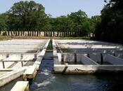 Объявление №6013657 - Хачмаз, Хачмаз, 5000 м²