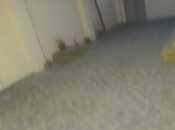 Сдаётся 3-комн. дом/дача 70 м², пос. Ахмедлы, photo 7 from 8