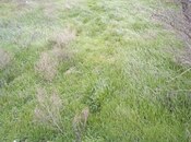 Продаётся  участок 2.8 сот, пос. Бадамдар, photo 1 from 2