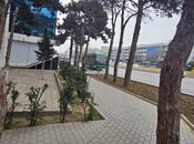 Satılır  obyekt 55 m², 20 Yanvar m., photo 3 from 8