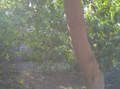 Satılır 1 otaqlı həyət evi/bağ evi 32 m², Qara Qarayev m., photo 2 from 6