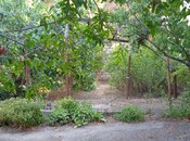 Satılır 1 otaqlı həyət evi/bağ evi 32 m², Qara Qarayev m., photo 5 from 6