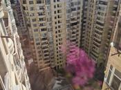 Продаётся 3-комн. новостройка 118 м², м. 8 ноября, photo 6 from 8