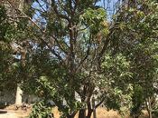 Продаётся 5-комн. дом/дача 120 м², пос. Говсан, photo 7 from 8