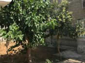 Продаётся 5-комн. дом/дача 120 м², пос. Говсан, photo 6 from 8