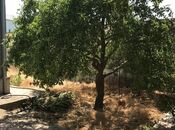 Продаётся 5-комн. дом/дача 120 м², пос. Говсан, photo 8 from 8