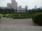 3-комн. новостройка - м. Шах Исмаил Хатаи - 80 м²