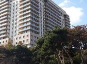 Сдаётся 3-комн. новостройка 182 м², м. Низами, photo 1 from 8