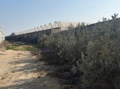 Satılır  obyekt 10 000 m², Türkan q., photo 3 from 6